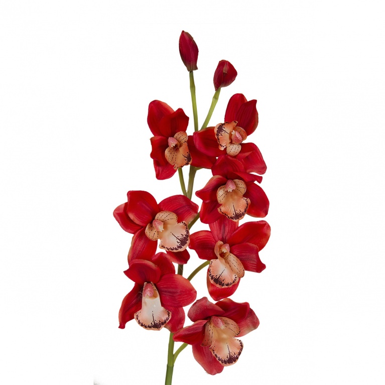 Орхидея красная 9F27642-4415, 101см